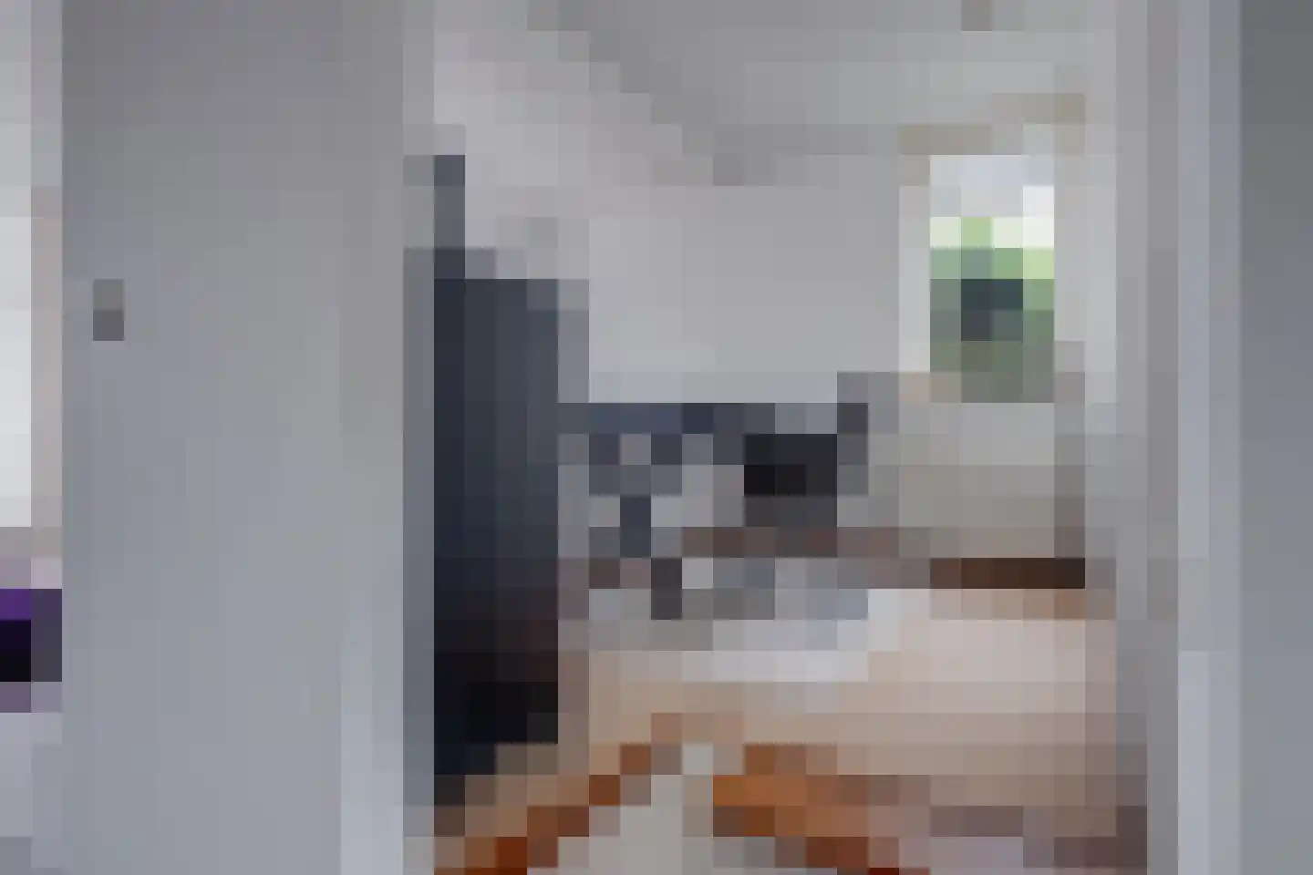Kastanjelaan 14 Lochem thumbnail 10