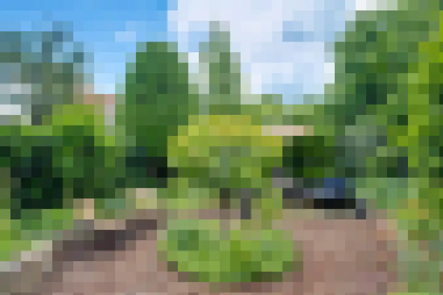 Kastanjelaan 14 Lochem thumbnail 25