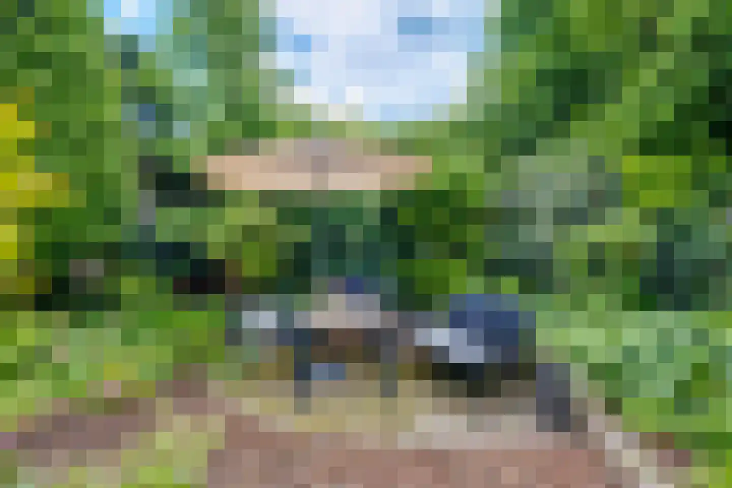 Kastanjelaan 14 Lochem thumbnail 27