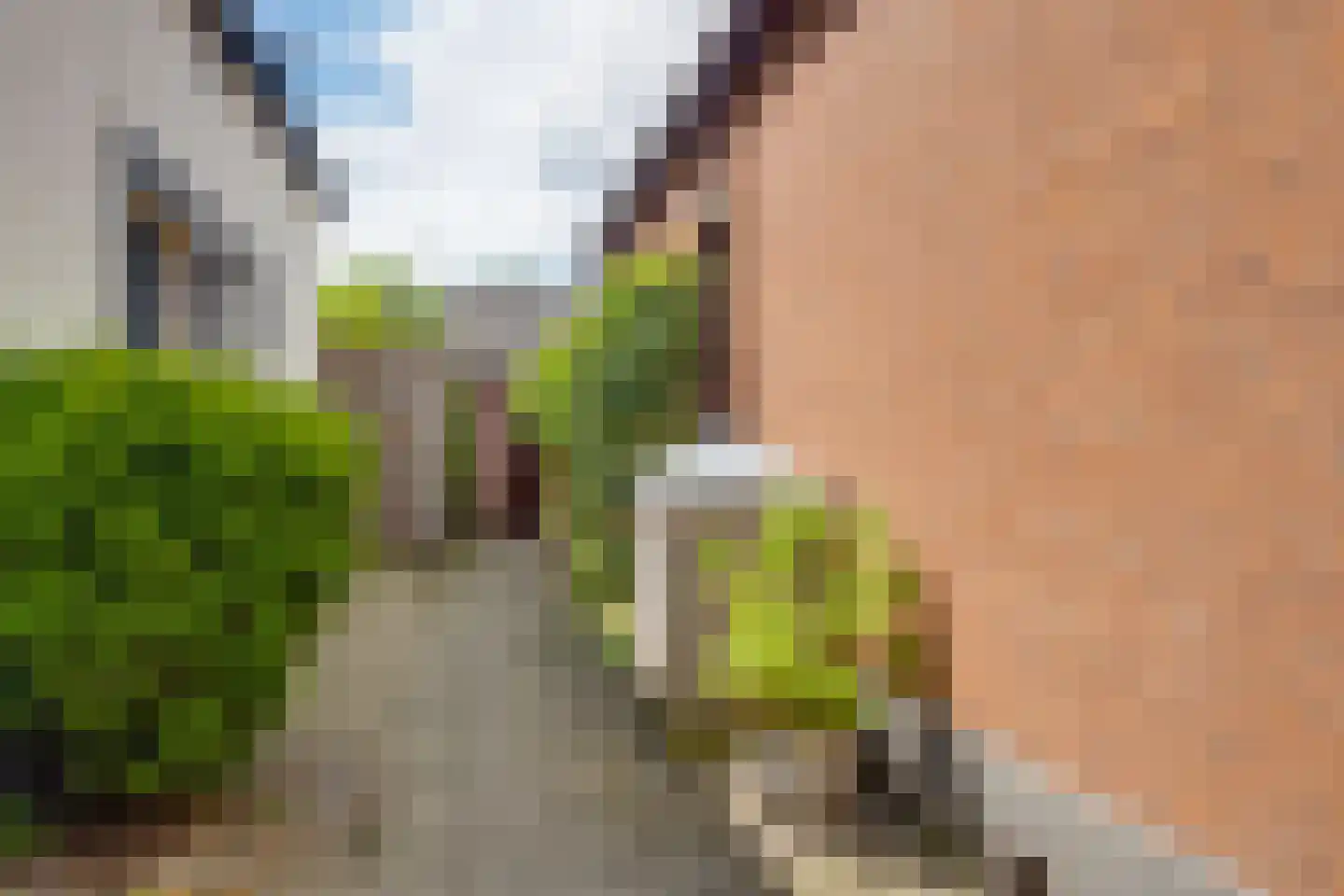 Kastanjelaan 14 Lochem thumbnail 29