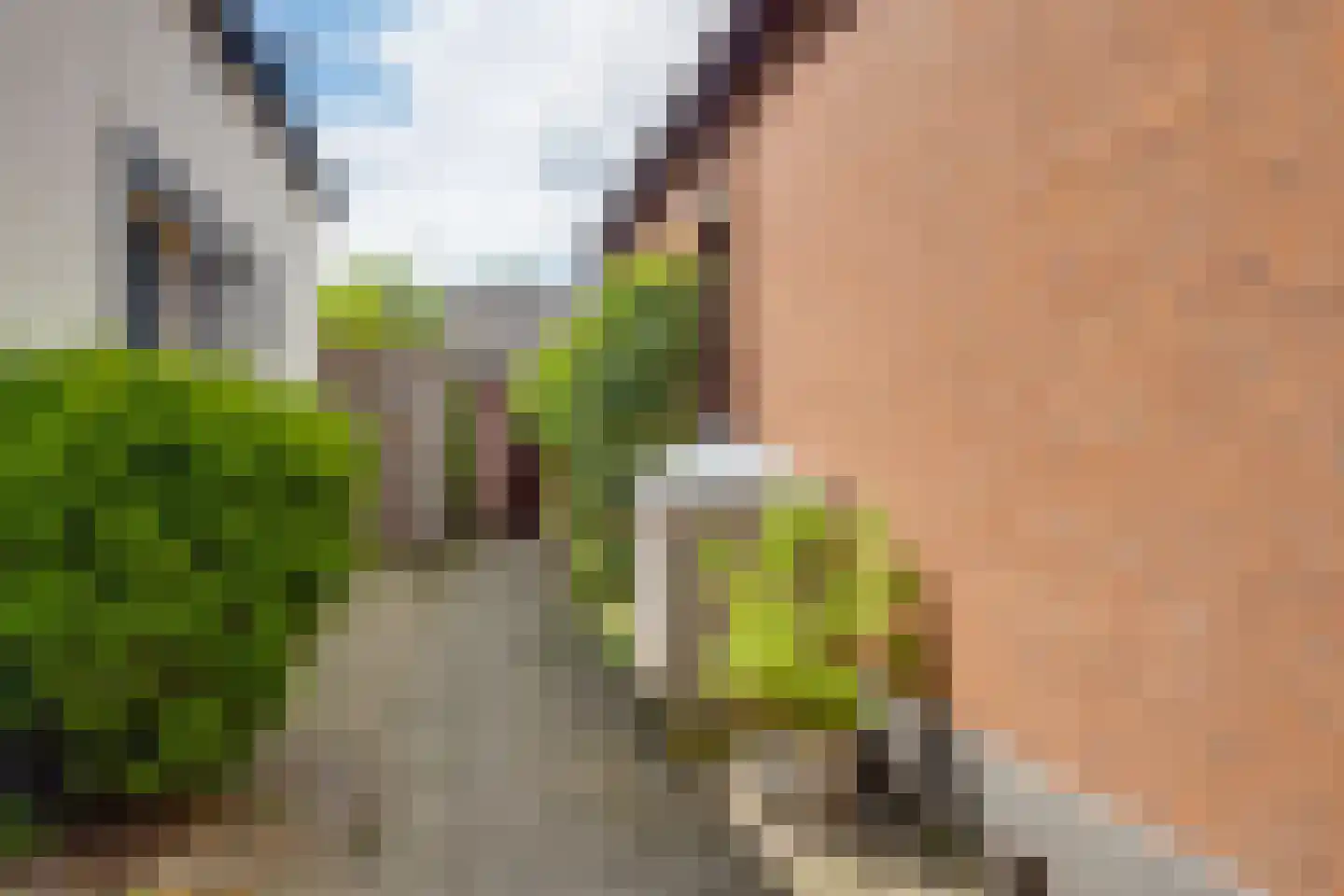 Kastanjelaan 14 Lochem thumbnail 30