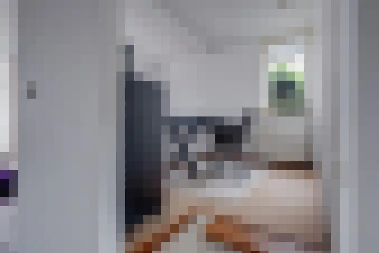 Kastanjelaan 14 Lochem thumbnail 9