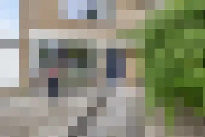 Kastanjelaan 14 Marum thumbnail 10