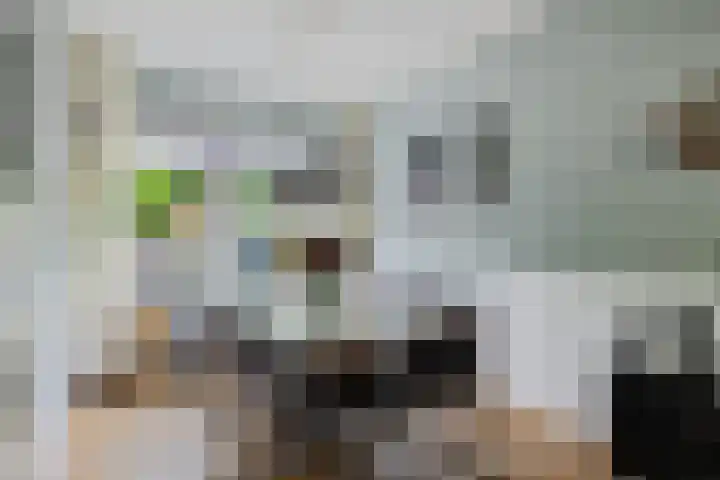 Kastanjelaan 14 Marum thumbnail 13