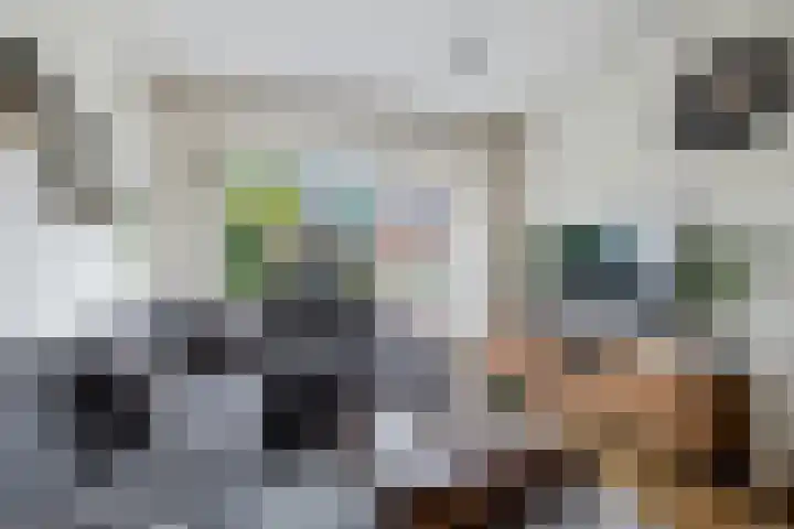 Kastanjelaan 14 Marum thumbnail 14