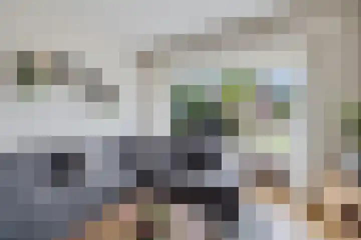 Kastanjelaan 14 Marum thumbnail 15