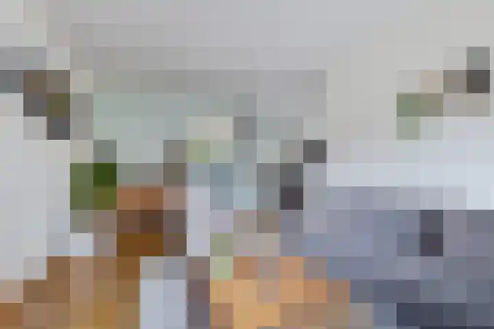 Kastanjelaan 14 Marum thumbnail 16