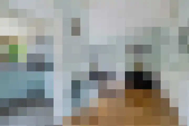 Kastanjelaan 14 Marum thumbnail 21
