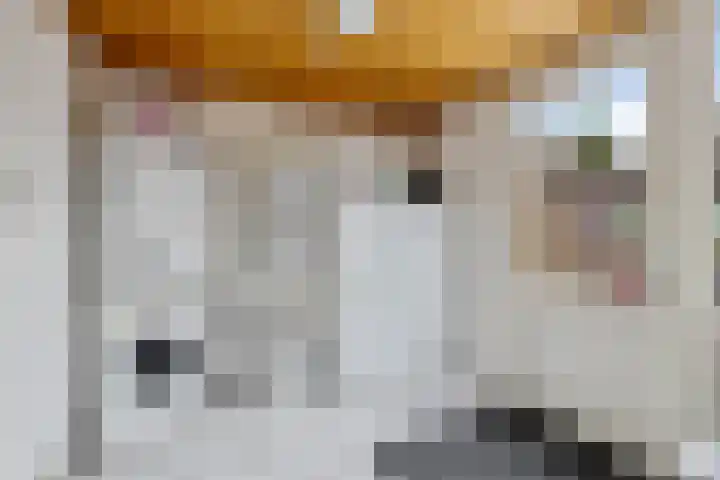 Kastanjelaan 14 Marum thumbnail 22