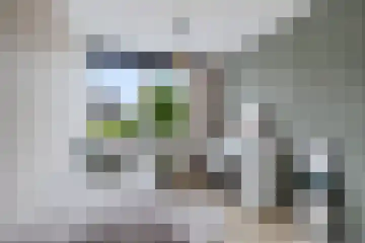 Kastanjelaan 14 Marum thumbnail 28