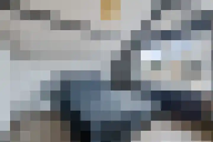 Kastanjelaan 14 Marum thumbnail 32