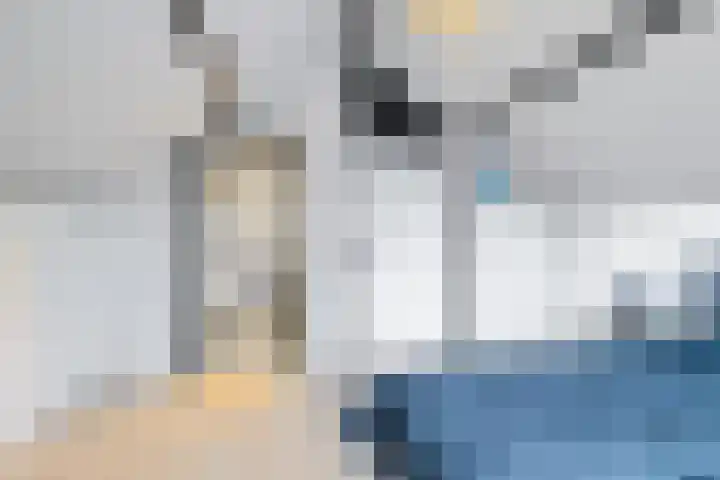 Kastanjelaan 14 Marum thumbnail 33