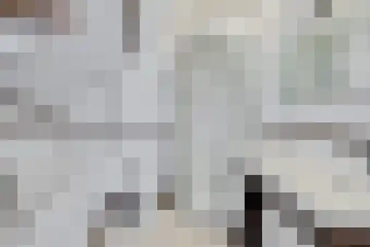 Kastanjelaan 14 Marum thumbnail 34