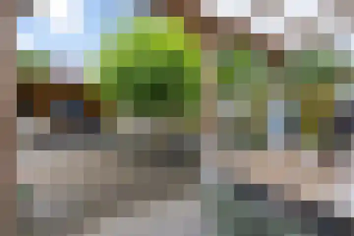 Kastanjelaan 14 Marum thumbnail 40