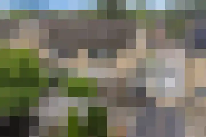 Kastanjelaan 14 Marum thumbnail 42