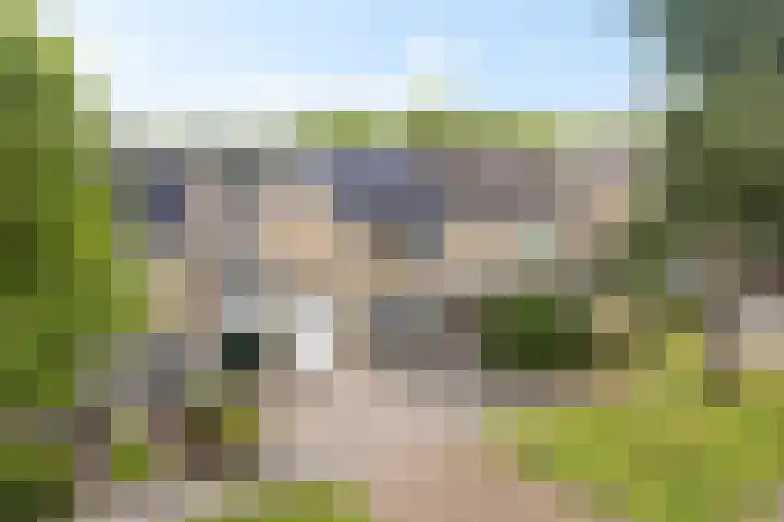 Kastanjelaan 14 Marum thumbnail 7