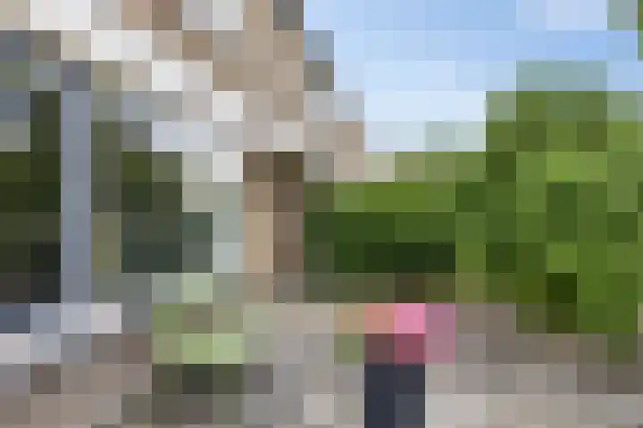Kastanjelaan 14 Marum thumbnail 9