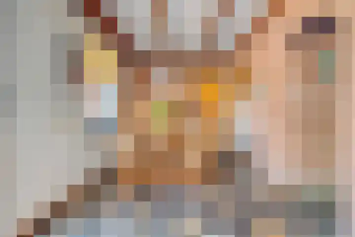 Kastanjelaan 15 Aadorp thumbnail 13