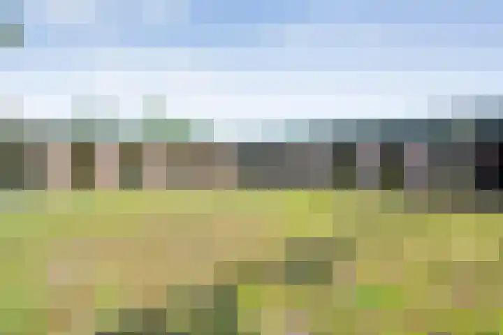 Kastanjelaan 15 Aadorp thumbnail 25