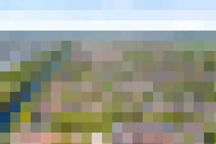 Kastanjelaan 15 Aadorp thumbnail 29