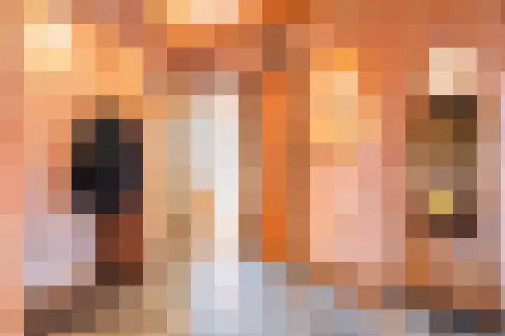 Kastanjelaan 15 Aadorp thumbnail 7