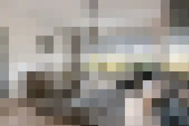 Kastanjelaan 15 Dordrecht thumbnail 10