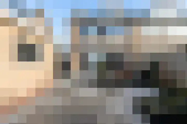 Kastanjelaan 15 Dordrecht thumbnail 5