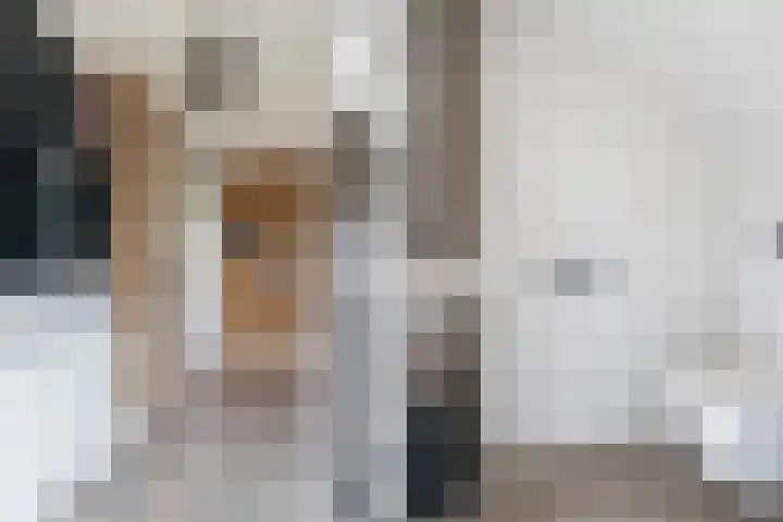 Kastanjelaan 15 Dordrecht thumbnail 9