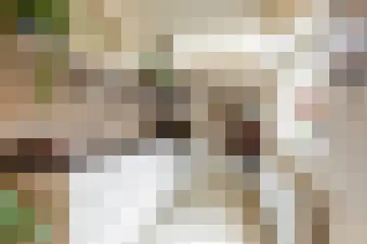 Kastanjelaan 15 Heemstede thumbnail 12
