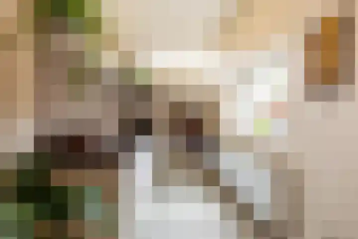 Kastanjelaan 15 Heemstede thumbnail 13