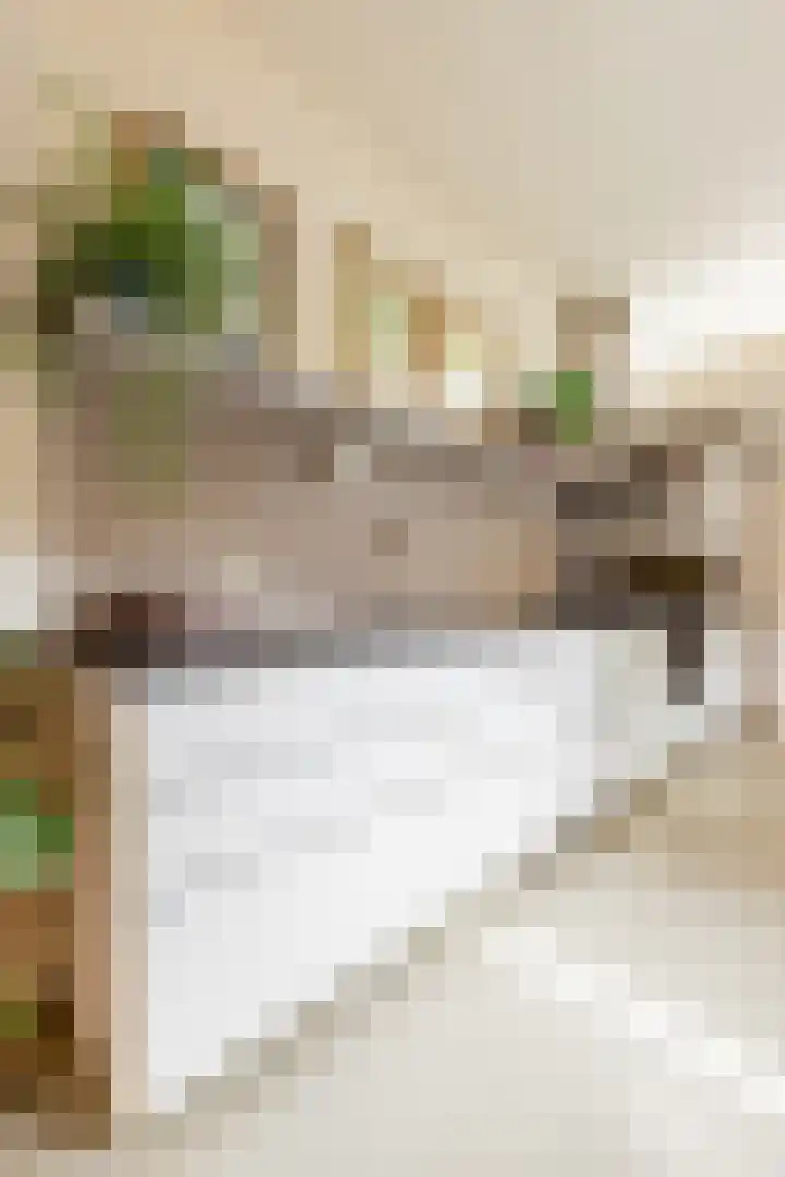 Kastanjelaan 15 Heemstede thumbnail 16