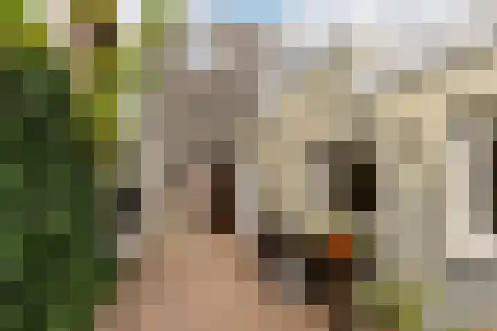 Kastanjelaan 15 Heemstede thumbnail 19
