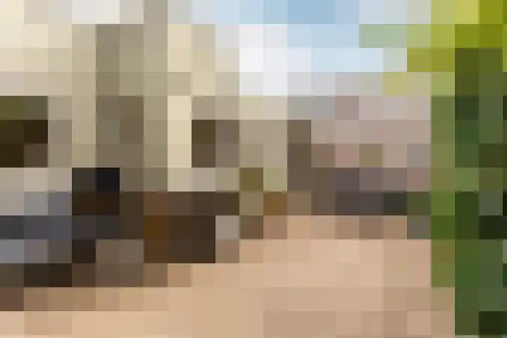 Kastanjelaan 15 Heemstede thumbnail 5