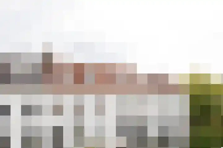 Kastanjelaan 16 4 Arnhem thumbnail 22