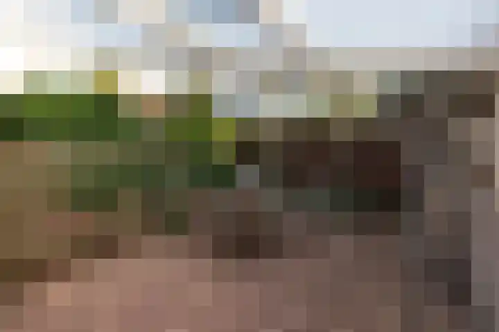 Kastanjelaan 16 Baarn thumbnail 20