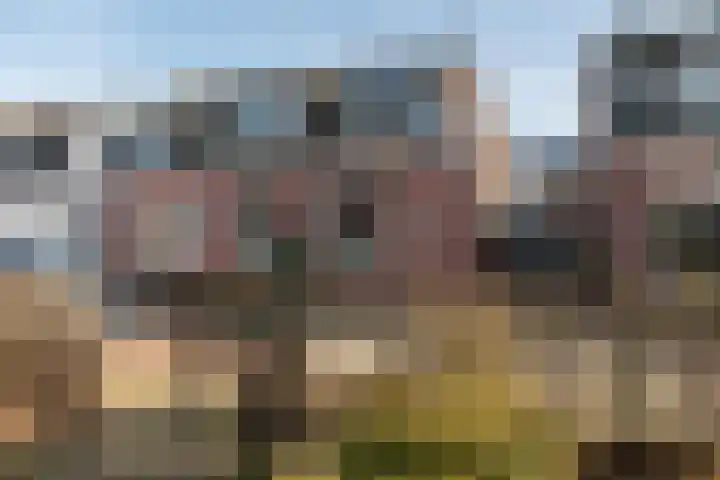 Kastanjelaan 16 Baarn thumbnail 25
