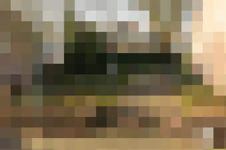 Kastanjelaan 16 Baarn thumbnail 26