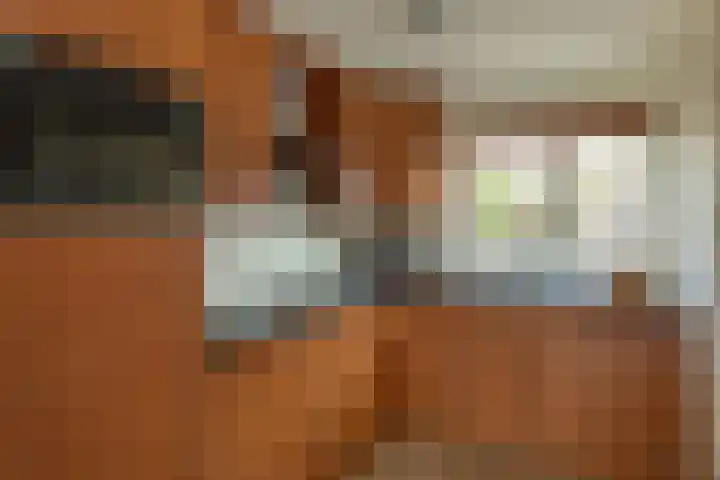Kastanjelaan 16 Baarn thumbnail 9
