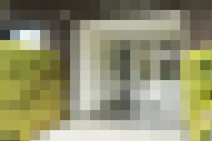 Kastanjelaan 16 c Ridderkerk thumbnail 10