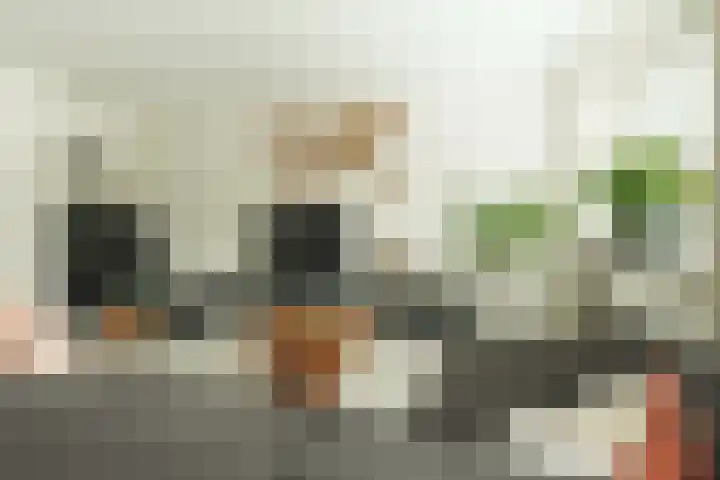 Kastanjelaan 16 c Ridderkerk thumbnail 15