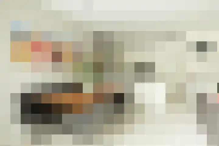 Kastanjelaan 16 c Ridderkerk thumbnail 18