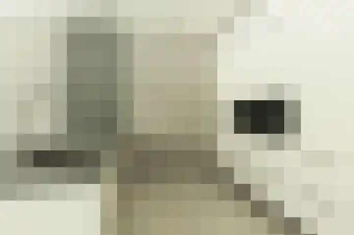 Kastanjelaan 16 c Ridderkerk thumbnail 21