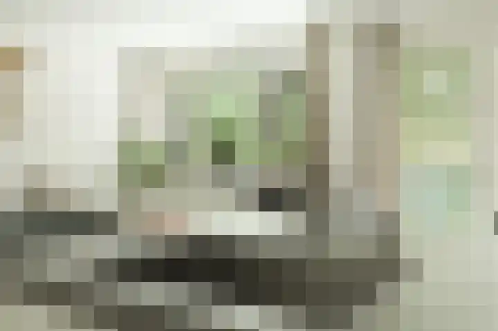 Kastanjelaan 16 c Ridderkerk thumbnail 22