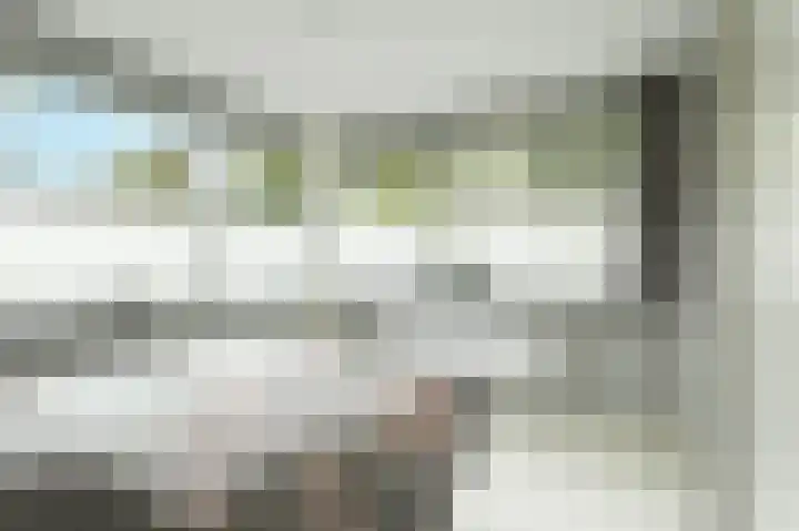 Kastanjelaan 16 c Ridderkerk thumbnail 24