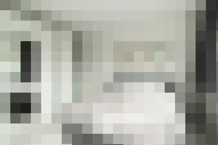 Kastanjelaan 16 c Ridderkerk thumbnail 25