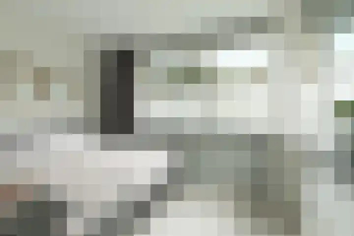 Kastanjelaan 16 c Ridderkerk thumbnail 26