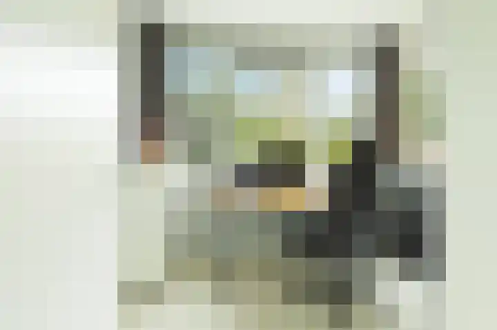 Kastanjelaan 16 c Ridderkerk thumbnail 27