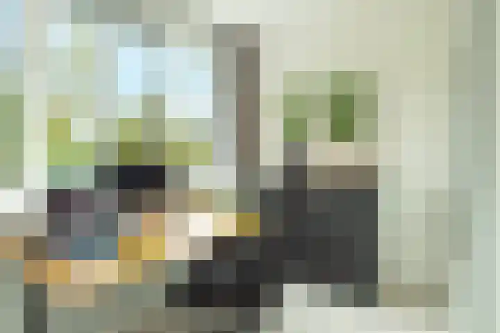 Kastanjelaan 16 c Ridderkerk thumbnail 28