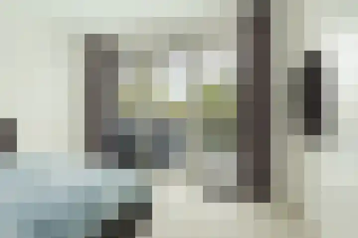 Kastanjelaan 16 c Ridderkerk thumbnail 29