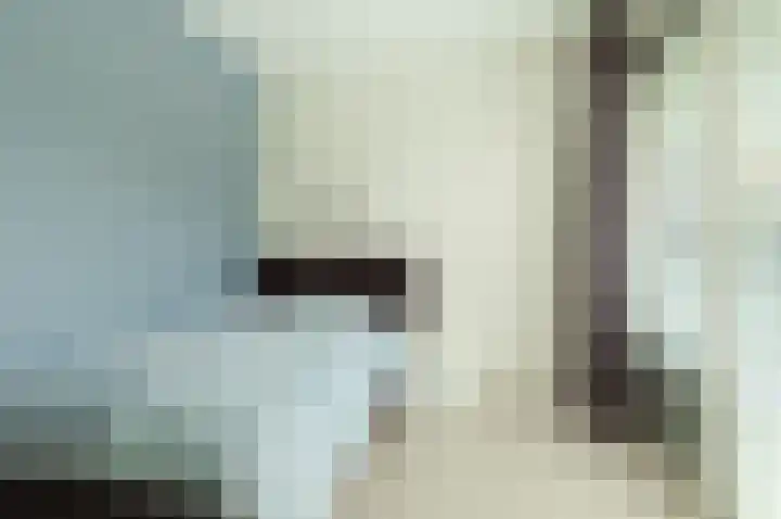 Kastanjelaan 16 c Ridderkerk thumbnail 30